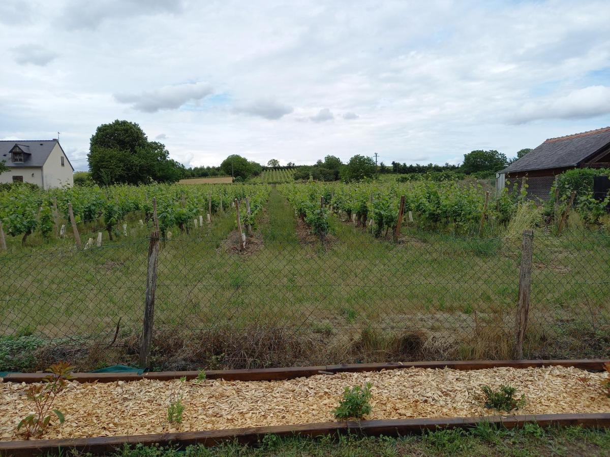 Hébergement Sarment du Véron Chinon Villa Beaumont-en-Véron Exterior foto